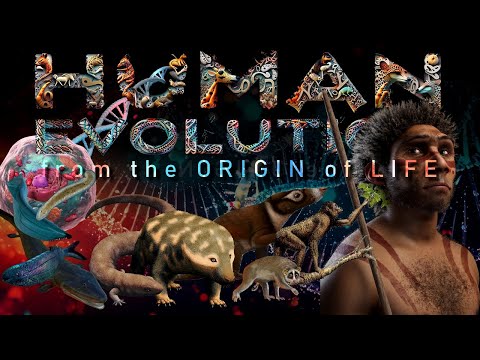 HUMAN EVOLUTION, from the origin of Life (FULL DOCUMENTARY)