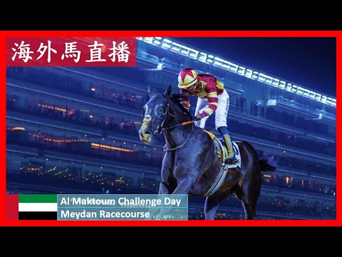 【海外馬直播】麥通挑戰賽馬日 Al Maktoum Challenge Day 美丹馬場 Meydan Racecourse 阿聯酋 UAE