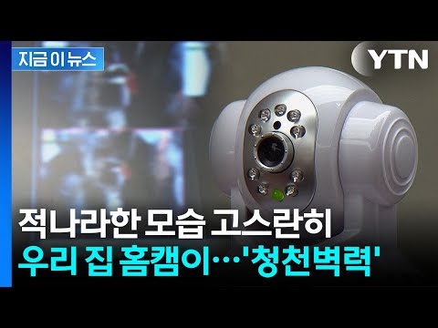 성착취 사이트에 내 모습이...은밀하게 뚫린 가정집 '홈캠' [지금이뉴스] / YTN