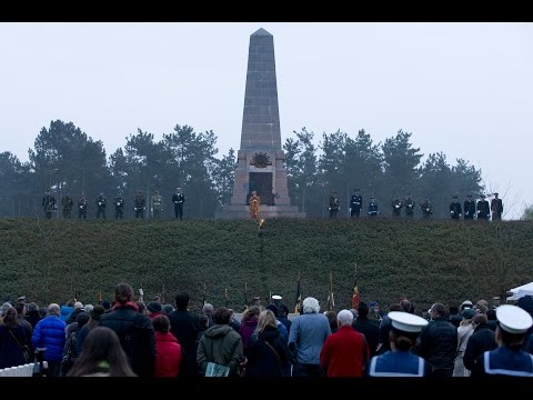 Polygon Wood Dawn Service