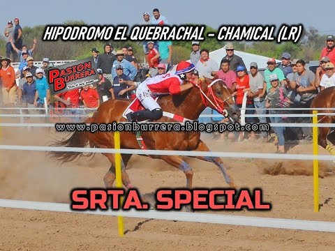 SRTA. SPECIAL, Hipódromo El Quebrachal - Chamical (29-09-19)