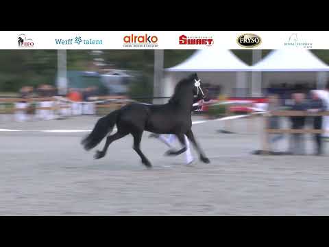 Centrale Keuring 2022 – Zaterdagochtend Baan 2