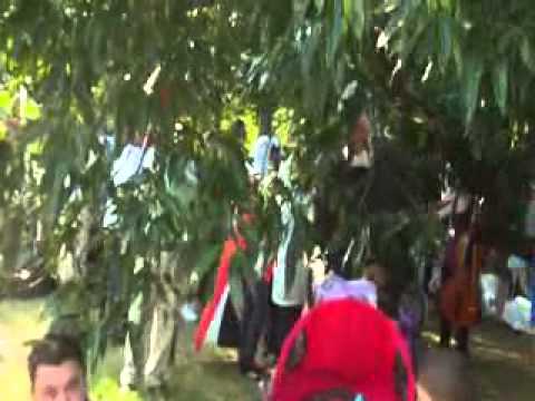 كلمة لسهير الاتاسي في مظاهرة في مدينة واشنطن في أميركا دعماً للثورة السورية