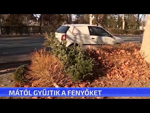 CTV híradó - Rövid híreink - 2026. január 12. hétfő