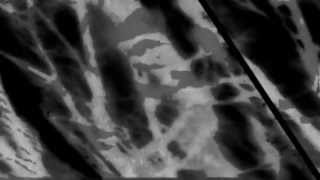 Arve Henriksen - An Opening Image