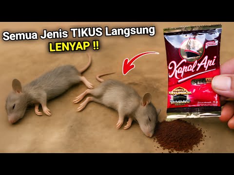 Hundreds of MICE DISAPPEAR in an INSTANT‼️