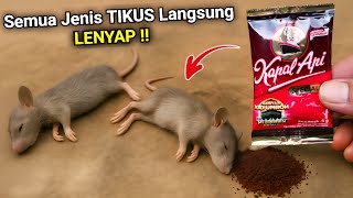Download lagu Ratusan TIKUS LENYAP dalam SEKEJAP‼️ mp3
