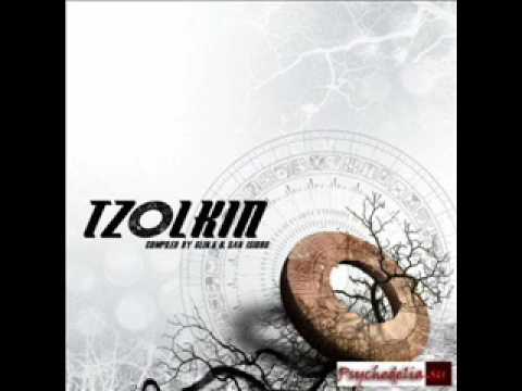 Brain hunters - wicked syntony