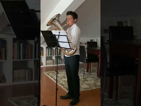 Mazurka by Nicolas D. Falcone