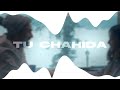 TU CHAHIDA Best Lofi [ Slowed + Reverb ] Vicky Sandhu Best Romantic Punjabi songs 2022