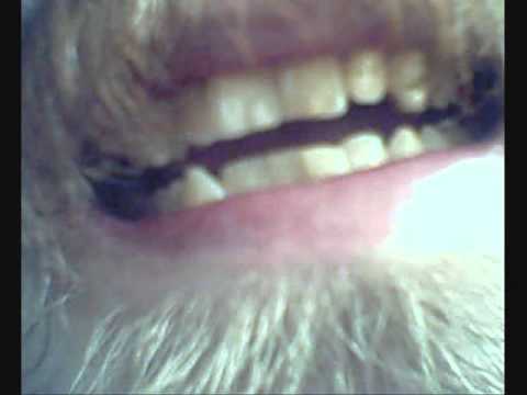 T-Rain - Put That Down - Holy Rhyme - Traviss Solomon - FreeStyle