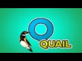 Surprise Time Animal Alphabet Phonics Learn The Alphabet ABC Song