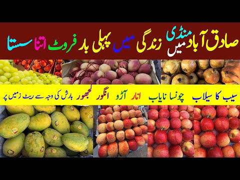 All fruits local & Imported Prices Decreased |Umair Fruits Vlog | Daily Fruits Update Sadikabad