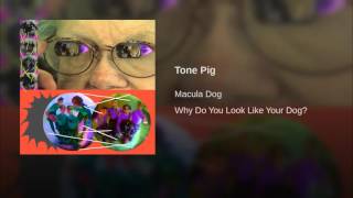 Tone Pig
