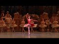 SLEEPING BEAUTY Violente Force Fairy Of Golden Vine Sabrina Mallem Opera De Paris