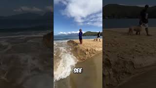 Download lagu CONNECTING River to the Ocean mp3