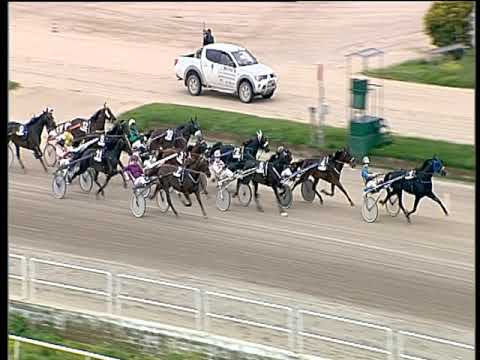 Trotto 31/05/2019 - 7ª corsa