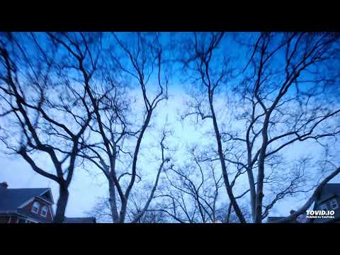 Animal Picnic, 19:26 - XX (Adriatique Jungle Edit)