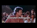 Vanamellam Shenbagapoo வனமெல்லாம் செண்பகப்பூ Nadodi Pattukka