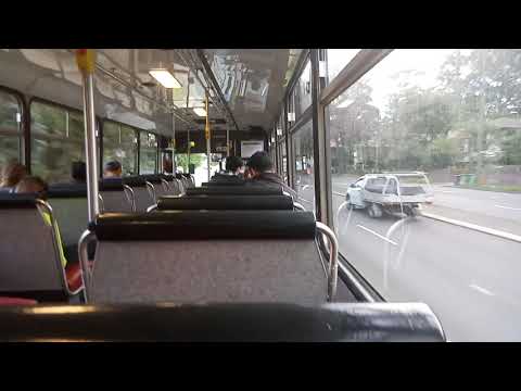 Loud ZF - Forest Coach Lines - 1005 - Volvo B10M Mark 4/CC 510[Terrey Hills](197 - Macquarie Uni)