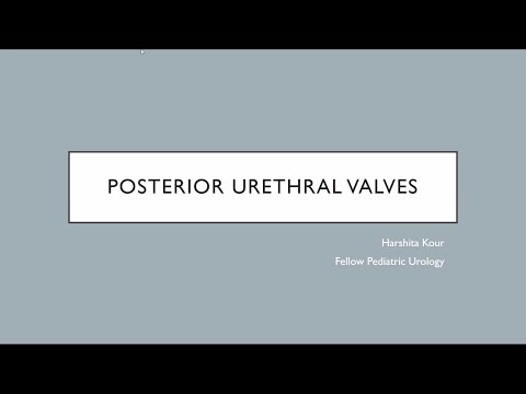 Posterior Urethral Valve