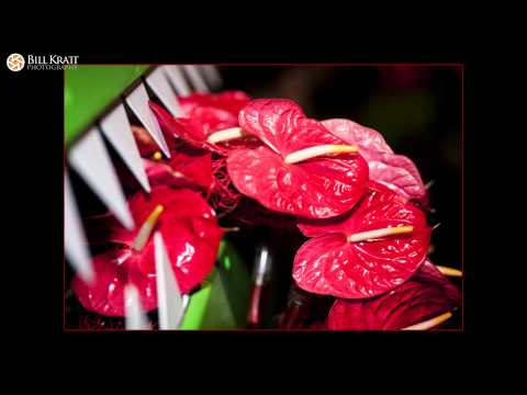 Schaffer Designs video.