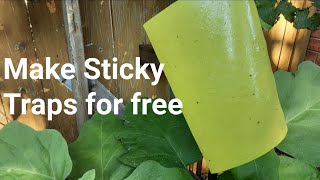 How to make Yellow Sticky Traps at Home for Free