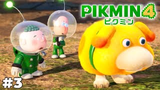 お前…でかくね…？【ピクミン4】#3