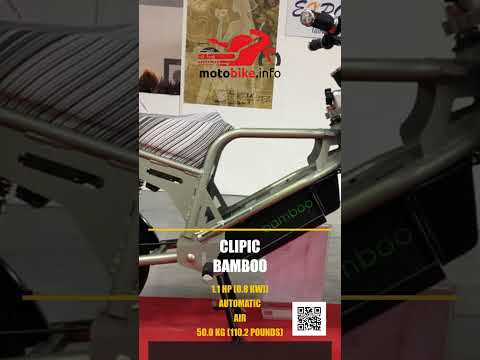Clipic Bamboo - Video 1