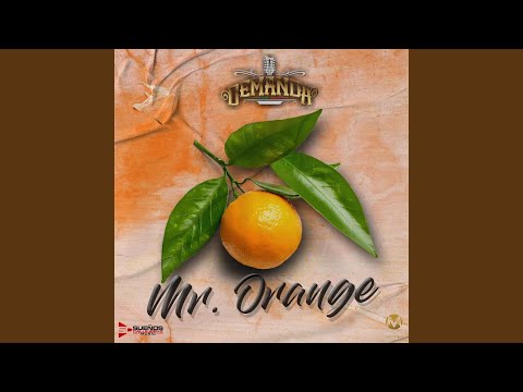 Mr. Orange