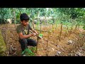 Orphan Boy Builds His Own Trellis A Heartwarming Story Of Resilience