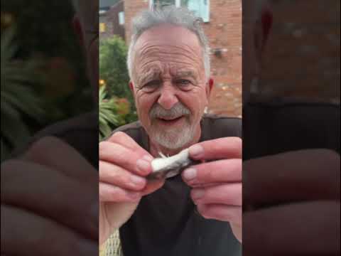 The Fermented FIsh Challenge!