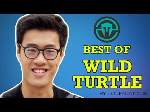 Best of WildTurtle | NA LCS Spring Split 2016