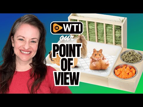 3 in 1 Rabbit Litter Box with Hay Feeder and Bowls - WTI product video review