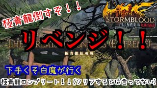 ［FF14］極青龍やるぞ！リベンジじゃああああああ！！！《⚠️ほぼジョブ木こりです》