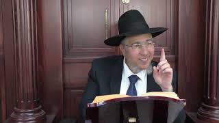 פרשת תזריע מצורע - גאולת ישראל   פירוש 'אור החיים' הקדוש   הרב שלמה ברסקה שליט"א