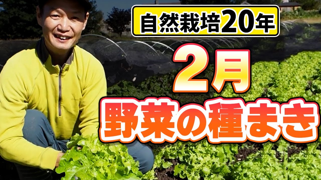 2月の種まき野菜とポット育苗の利点|自然栽培20年の実践法