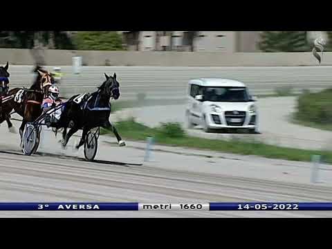 Aversa trotto 14 Maggio 2022 - 3° Corsa