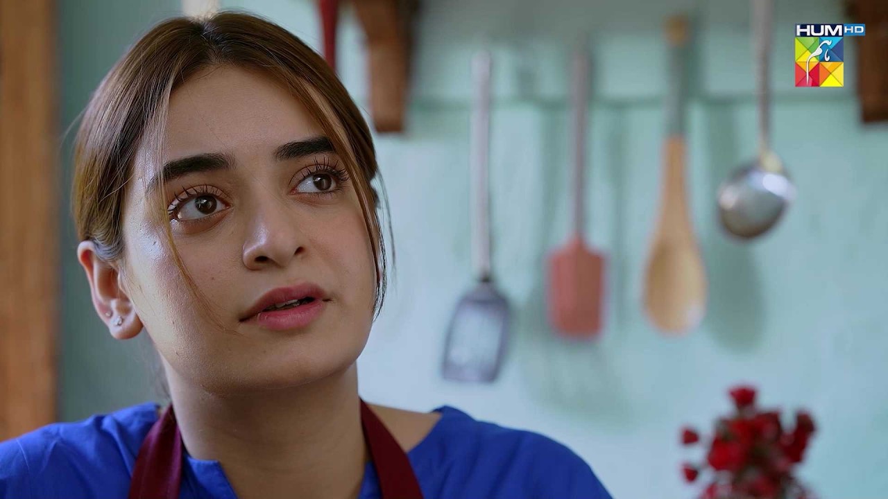 Faryal Ko Ab Kya Fikar Lagi Hai..? #hadddrama #MinsaMalik #nabeelzuberi - HUM TV