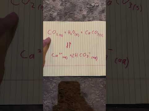 Cave Formation Equilibria