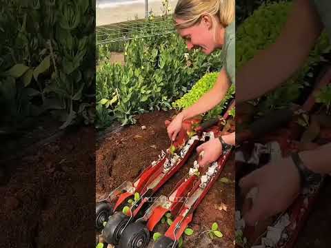 Секретный способ высадки рассады #факты #технологии