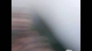 Still Lit (feat. Stuey Rock) - Lil Donald