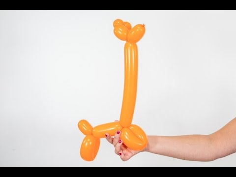 Patrycja Lipińska - # 5  Balonowa Żyrafa, Skręcanie, Modelowanie Balonów