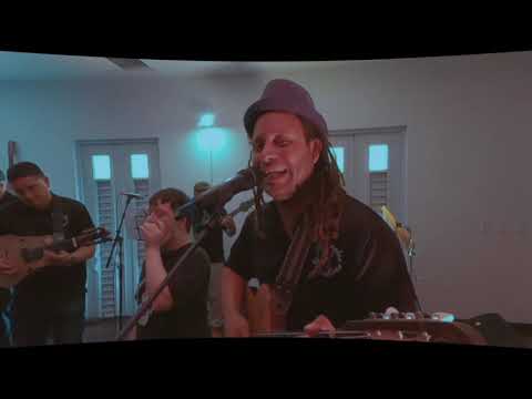 Animales parranderos - El Medley. (FULL HD)