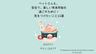 クリスマスシーズンーペットさんと楽しく過ごすために気をつけること11選（11 dangers of festive season for your pet) #myhappipet