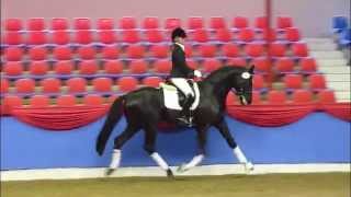 preview picture of video 'www.reitschule-sandbrink.de Sir Donnerhall - Escudo 1st Spring Licensing Vechta 2012'
