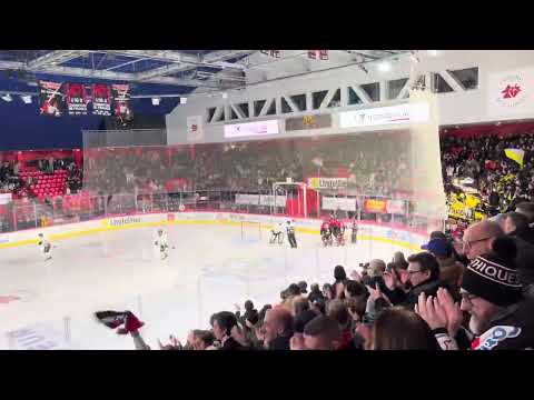 James Phélan But (Amiens-Rouen) - Ligue Magnus - 31/01/2025 (2-3)