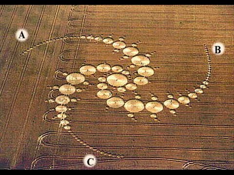 The 2014 lowdown on crop circles