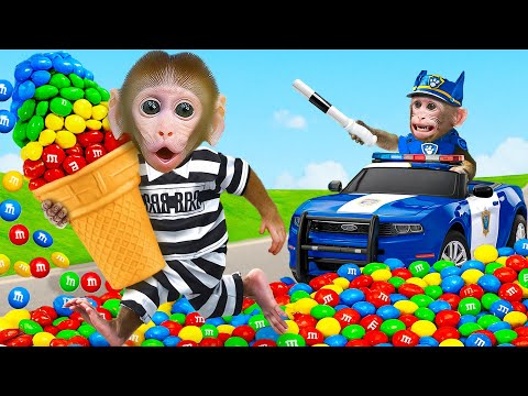 Macaco BinBin: Uma Aventura na Quinta e na Cor - Troca de carro - BinBin Portugal