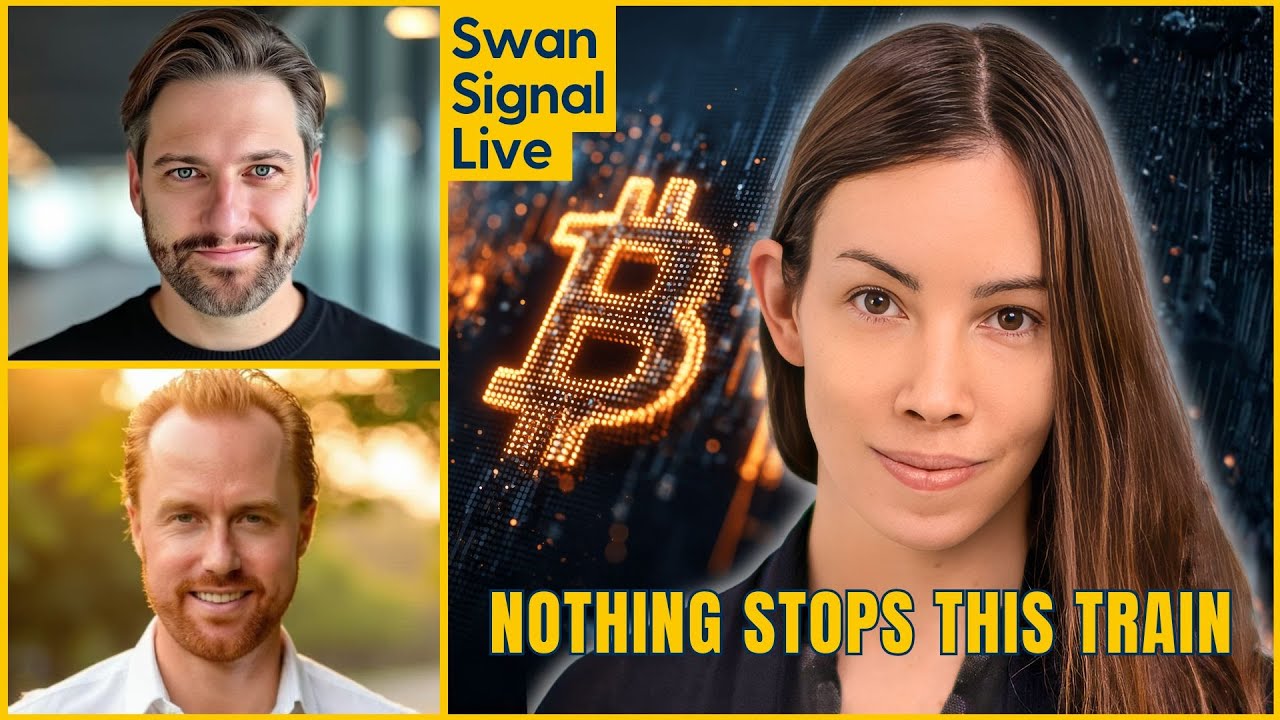 Bitcoin Crash or Bull Run Setup? With Lyn Alden